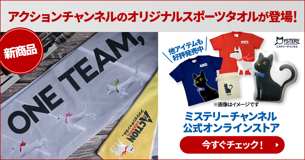 The Mystery ミステリチャンネル クイズ 当選品 半袖 Tシャツ fit=scale-down,w=1200