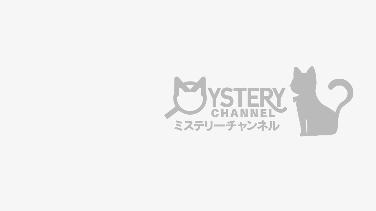 金田一耕助シリーズ／古谷一行