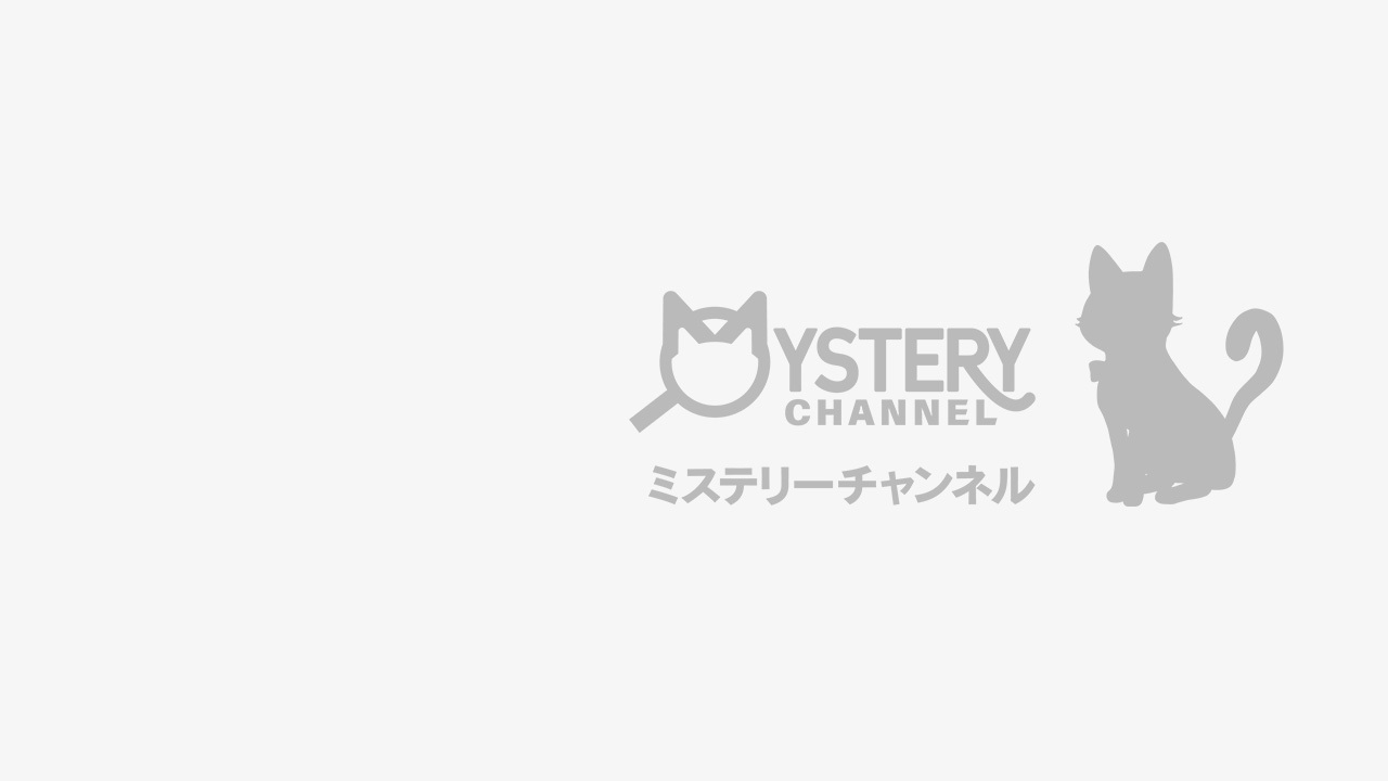 新・世界鉄道の旅